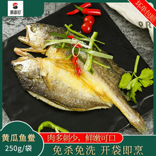 產地貨源 黃魚水產品冷凍250g黃瓜魚鯗速凍海鮮生鮮食品小黃瓜魚