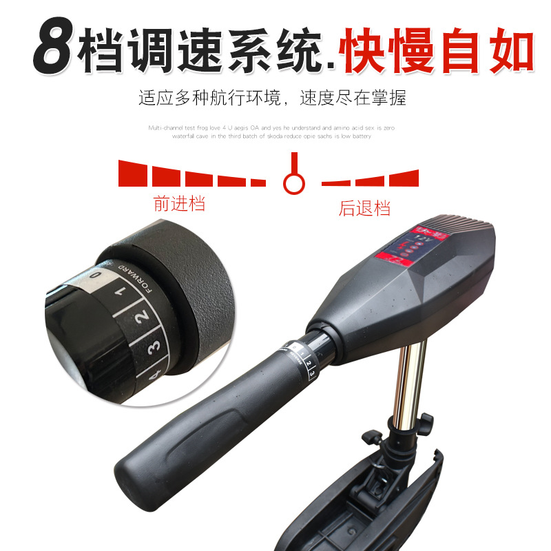 Marine Electric Motor 12V/24V 3