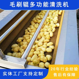 红薯土豆去皮清洗机 多功能果蔬加工设备 笋牙 芋头毛刷辊脱皮机