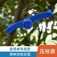 枝を引く定型器果樹盆栽は曲がった器の木の形の道具を持っています。