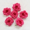 Light rose red