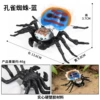 2879 Peacock Spider (Blue)