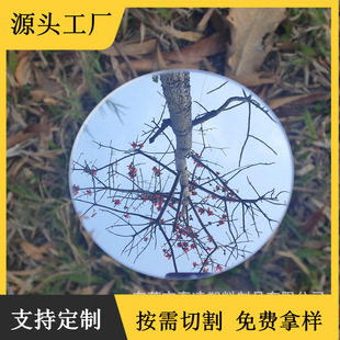 ���������y�R�Ӂ����������и�����R��PMMA�A���R��2mm���z�R��