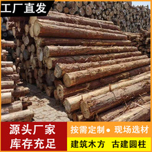 批发日本桧木原木烘干板材实木家具材古建寺庙桧木防腐圆柱