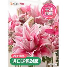 ��Խ�ذ�ٺϷN���M�ڰ׺ϻ���ˮ�ٺϻ��F���ļ��������_ؐ����ɯ