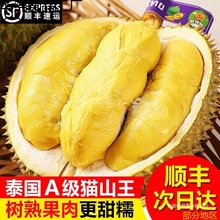 ��S������ɏ��̩�����rˮ������кˑ�������ˮ�������������l