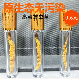 冬虫夏草
