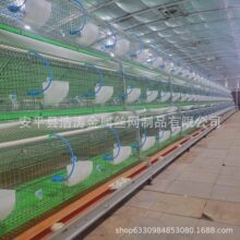 实体工厂 阶梯兔笼 养殖场自动化清粪带欧式兔笼 母兔笼子
