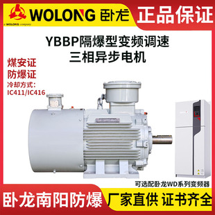 ��ꖷ���CNEYBPP�͉�����׃�l늙CExdbIMbú�V�V�ð�ȫ��MAú���C