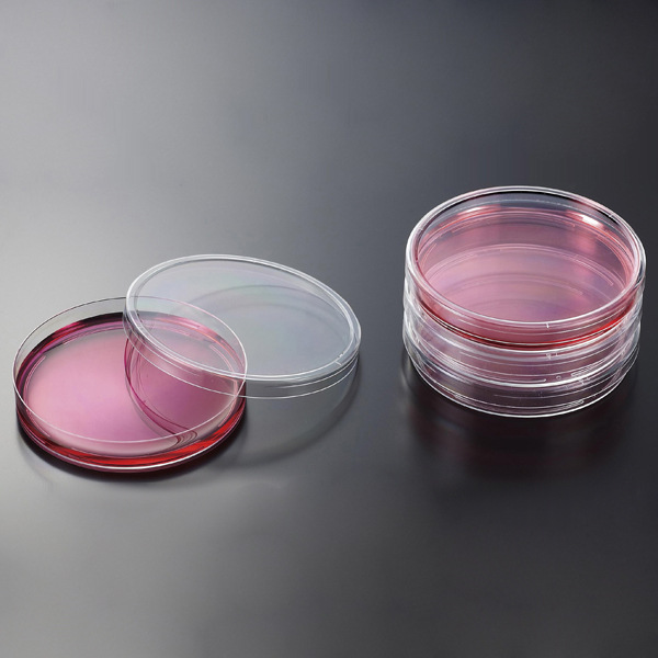 一次性细胞培养皿