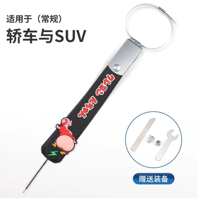 Grounding Strip Wear-Resistant Exhaust – Other Automotive Exterior Supplies - xiaoxin-butt-model