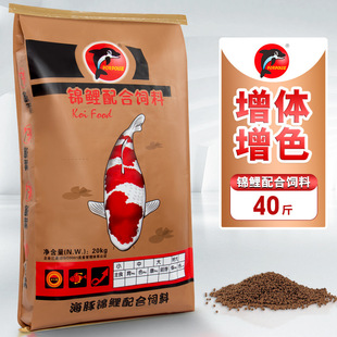 Dolphin Koi Fish Feed 20kg Special Fish Food Color Yangtze Goldfish Koi Fish Food Universal Type Not Muddy Water