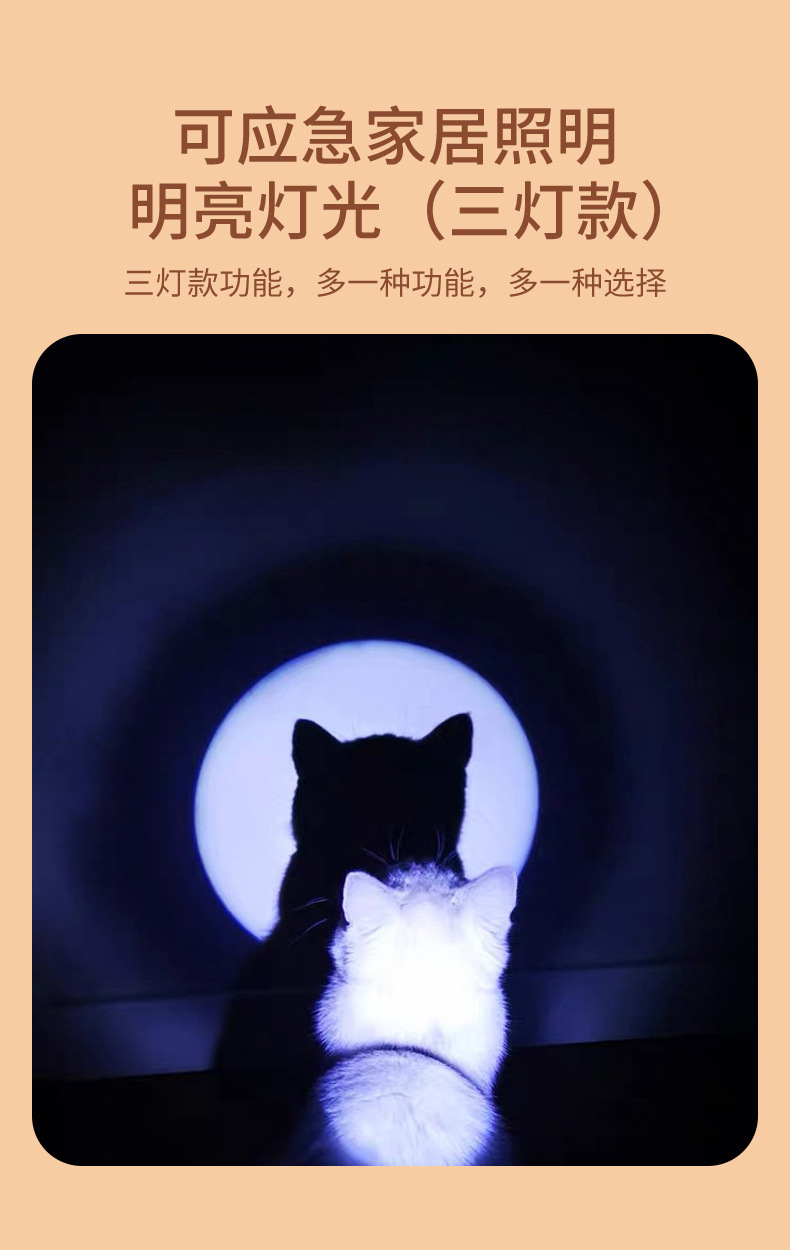 多功能激光逗猫棒宠物梳子