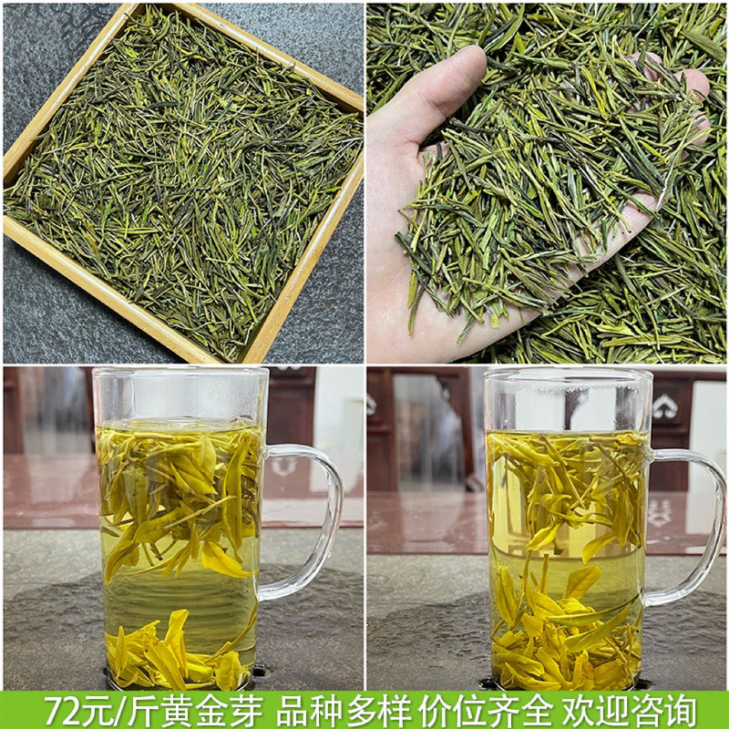浙江2025年新茶明前茶春茶緑茶安吉工芸濃香型黄金芽茶葉卸売りバラ|undefined