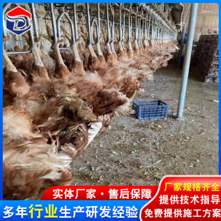 ��Ϛ��u��������ˮ���Ԅӻ��̶ȸ� 579�uÓë�Cȫ�Ԅ�34݁�r��