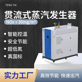 蒸汽发生器;电热锅炉;燃气锅炉