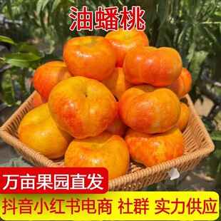 �a��ֱ�l����S����������rˮ���������Ӵ���ʺ�������S������