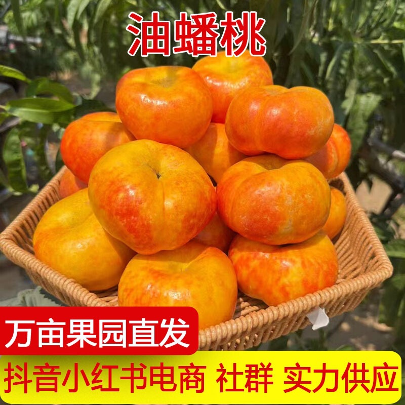 Directly Shipped from the Place of Origin, Shaanxi Golden Oil Peach, Fresh Seasonal Fruit, Crisp and Sweet Rainbow Oil Peach, Yellow-Fleshed Peach