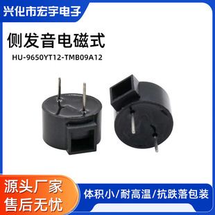 9.6*5.0mm Active 12V Buzzer Hu-9650Yt12 Side Pronunciation Environmentally Friendly Flow Electromagnetic Type Tmb09A12