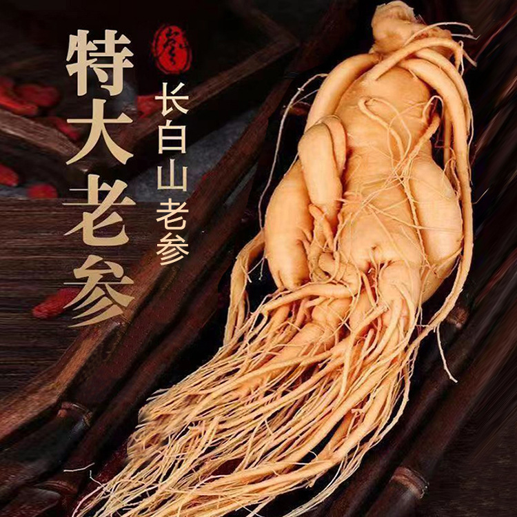 長白山人参鮮度保持参特大参泡酒煮湯滋補専用東北特産生参|undefined