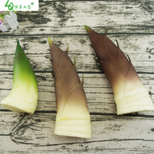 ���洺�Sģ�� ����Së�S��߼�ˮ���߲ˏN���[�O�b�Ʒ��������