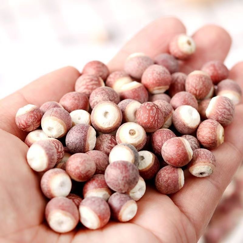 Qian Shi (Euryale ferox) Dried Food Herb — Split Gorgon Nut for Soup & Tea key features
