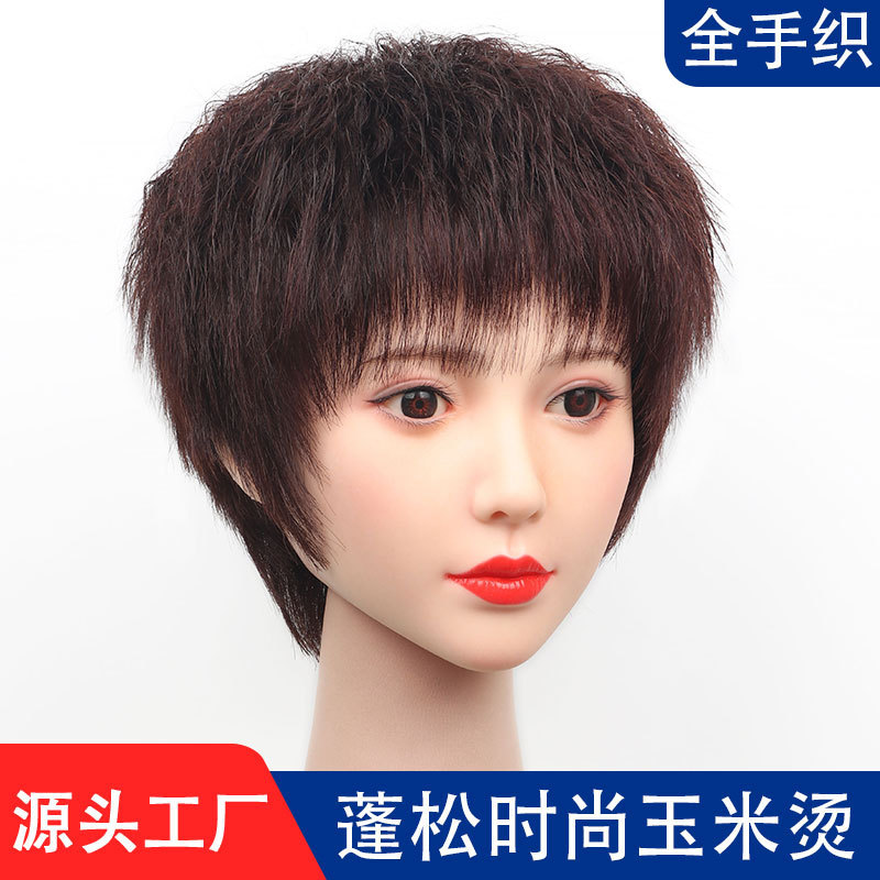 Wig for Women with Short Hair, Fully Hand-Woven, Suitable for Middle-Aged and Elderly, Full Head Style, Lightweight and Fluffy, Corn Perm Wig, Real Hair Short Curly Hair Wig for Women with Short Hair, Fully Hand-Woven, Suitable for Middle-Aged and Elderly, Full Head Style, Lightweight and Fluffy, Corn Perm Wig, Real Hair Short Curly Hair