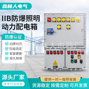 Iib Explosion-Proof Lighting Power Distribution Box Maintenance Box Stainless Steel Junction Box Plug-In Box Electrical Control Instrument Box Explosion-Proof
