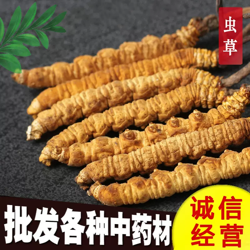 冬虫夏草干虫草西藏冬虫草那曲虫草源头批发中药材传统滋补品