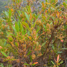 ���l�Rɣ�N��ˮ�Rɣ܇ɣ��ľ����ľ���iʺ���R���N���Rɣ���~ɣ