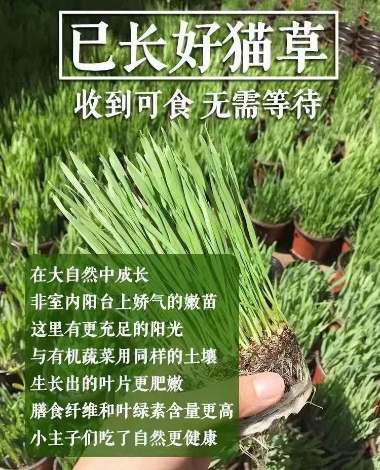 905d7c71-d719-4b58-b1d7-6b16683a1ef2.jpe