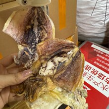 20头北海小墨鱼干晒干一手批发墨鱼干货淡晒海鲜产品25头18头