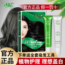 【官方正品】五贝子染发剂焗油膏植物天然纯黑色遮盖白头发旗舰店