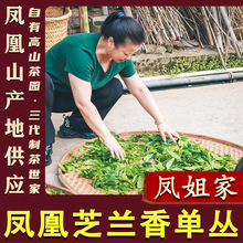 【凤姐家茶 芝兰香】春茶新茶凤凰单丛乌龙茶 潮州单枞茶单从乌岽