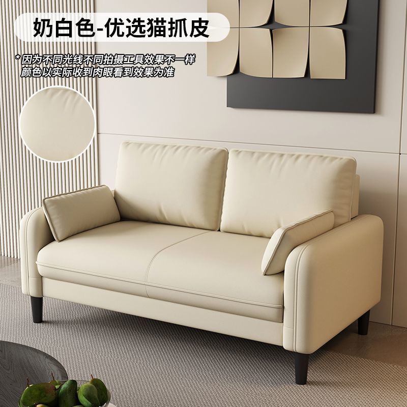 Light Luxury Small Apartment Double or Triple Sofa for Rental Apartment, Rest Area, Reception, Beauty Salon, Homestay, or Clothing Store
