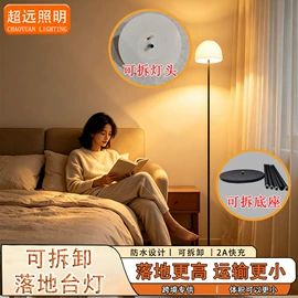 装饰台灯;小夜灯;落地灯
