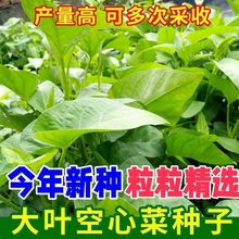 ~Ĳ˷Nļ͟A~Ĳˮٲ̨߲˷NZ