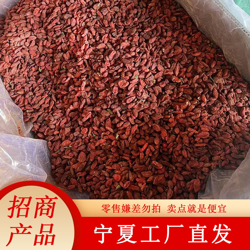 枸杞生产自销苟杞子大量批发厂家直供整箱无熏染电商供货宁夏特产