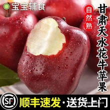 甘肃花牛苹果礼盒粉面宝宝辅食刮泥蛇果当季新鲜水果红富士特级
