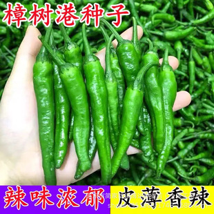 ��������۽��N������߮a�����N�Ӄ��|�����N���·N�ļ����ﲥ�N