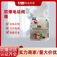 厂家电动阀门控制箱气控箱防爆箱化工军工IIIC防爆阀门控制箱