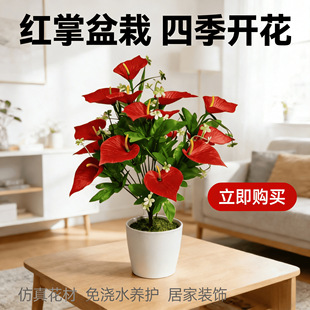 ���W���滨����18�^��t���R��ɏ�����Wʽ�Ҿӿ͏d�b��҃Ȕ[�O