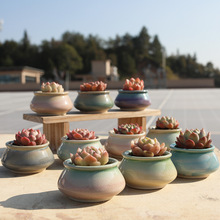 多肉花盆陶瓷简约创意个性桌面可爱渐变色流釉群生透气奶罐拇指盆