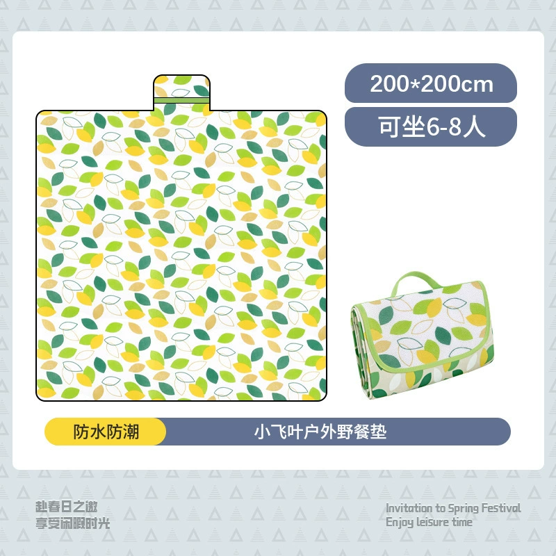 Travel waterproof handheld carpet non-woven cloth, increased thickness