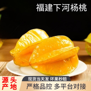 �����������5�����rˮ���������t�P����������ժ�����