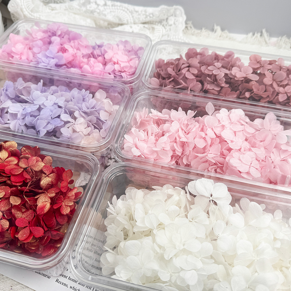 ✅ Flores secas flores eternas hortenida color gradiente material hecho a mano bolsa de calzado de boda cubierta de vidrio grupo de construcción de flores actividades