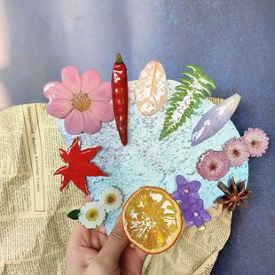 Real Fruit Pepper Maple Leaf Hairpin Creative Real Flower Handmade Glue Real Leaf Special Side Clip Hairpin Duckbill Clip for Women