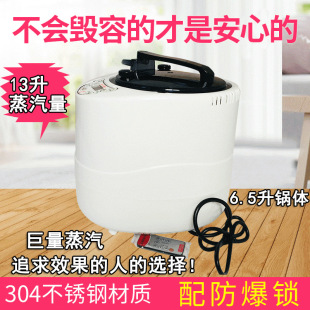 6.5-Liter Dual Steam Outlet Steam Machine Fumigation Machine Sauna Pot Fumigation Pot Steaming Device 13-Liter Steam Output Foot Bath