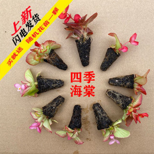 �������ԡ��ļ����ġ�Ѩ�P��9�w���],��ͥ�̨ͥԺ��������