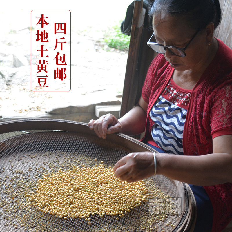 小江新货土黄豆500g 非转基因 农家老品种丑大豆 可打豆浆发豆芽